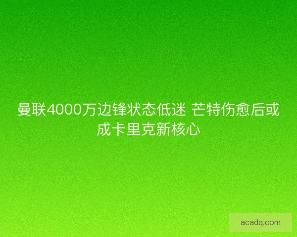 曼联4000万边锋状态低迷 芒特伤愈后或成卡里克新核心